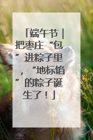 端午节｜把枣庄“包”进粽子里，“地标馅”的粽子诞生了！