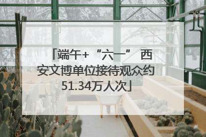 端午+“六一” 西安文博单位接待观众约51.34万人次