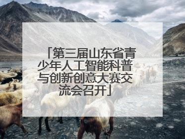 第三届山东省青少年人工智能科普与创新创意大赛交流会召开