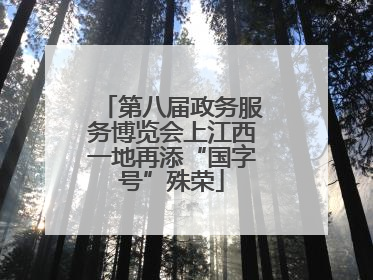 第八届政务服务博览会上江西一地再添“国字号”殊荣