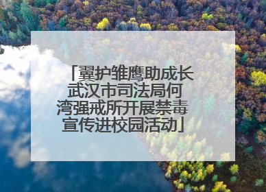翼护雏鹰助成长 武汉市司法局何湾强戒所开展禁毒宣传进校园活动