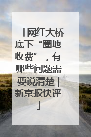 网红大桥底下“圈地收费”，有哪些问题需要说清楚｜新京报快评