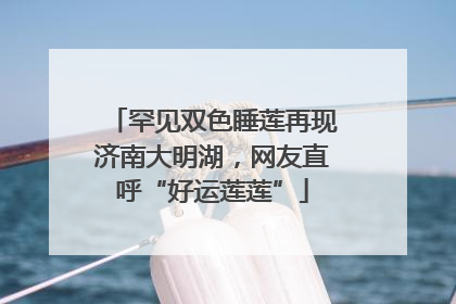 罕见双色睡莲再现济南大明湖，网友直呼“好运莲莲”