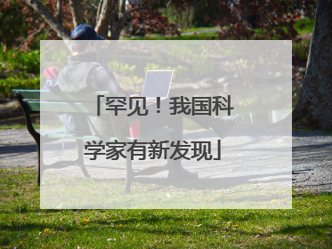 罕见！我国科学家有新发现