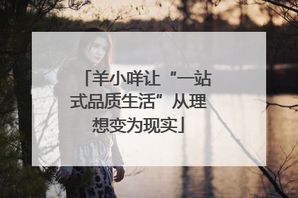 羊小咩让“一站式品质生活”从理想变为现实
