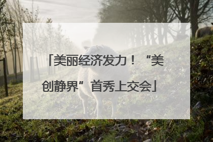 美丽经济发力！“美创静界”首秀上交会