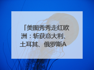 美图秀秀走红欧洲：斩获意大利、土耳其、俄罗斯App Store分类榜第一
