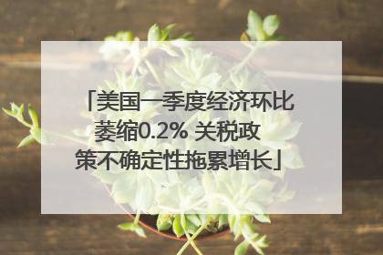 美国一季度经济环比萎缩0.2% 关税政策不确定性拖累增长
