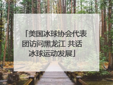美国冰球协会代表团访问黑龙江 共话冰球运动发展