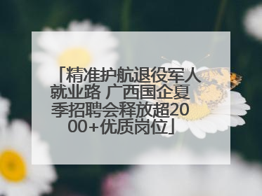 精准护航退役军人就业路 广西国企夏季招聘会释放超2000+优质岗位