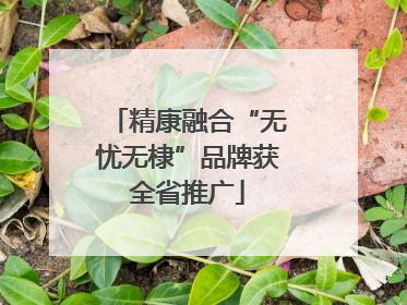 精康融合“无忧无棣”品牌获全省推广