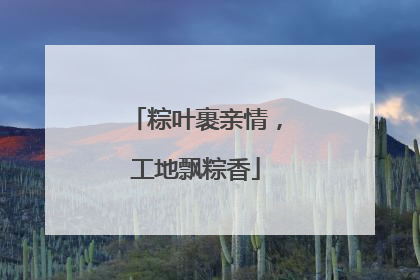 粽叶裹亲情，工地飘粽香