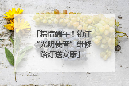粽情端午！镇江“光明使者”维修路灯送安康