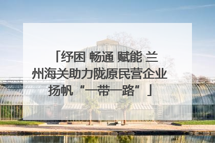 纾困 畅通 赋能 兰州海关助力陇原民营企业扬帆“一带一路”