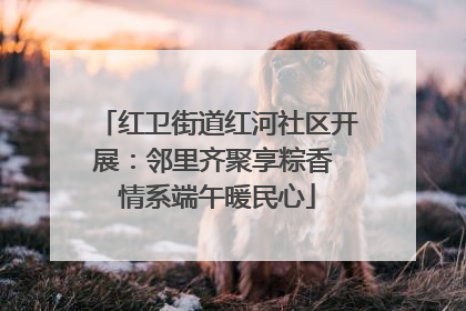 红卫街道红河社区开展：邻里齐聚享粽香 情系端午暖民心