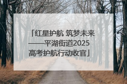 红星护航 筑梦未来——平湖街道2025高考护航行动收官