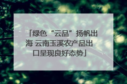 绿色“云品”扬帆出海 云南玉溪农产品出口呈现良好态势