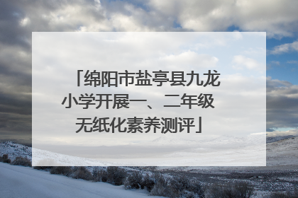 绵阳市盐亭县九龙小学开展一、二年级无纸化素养测评
