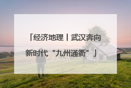 经济地理丨武汉奔向新时代“九州通衢”