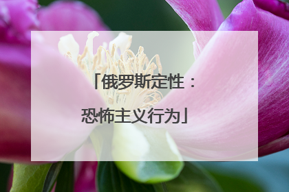 俄罗斯定性：恐怖主义行为