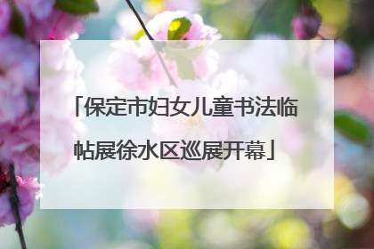 保定市妇女儿童书法临帖展徐水区巡展开幕