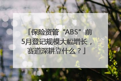 保险资管“ABS”前5月登记规模大幅增长，赛道深耕靠什么？