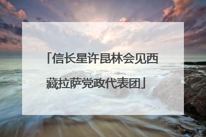 信长星许昆林会见西藏拉萨党政代表团