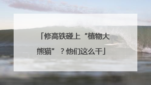 修高铁碰上“植物大熊猫”？他们这么干