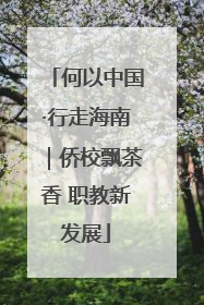 何以中国·行走海南｜侨校飘茶香 职教新发展
