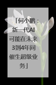 何小鹏：新一代AI可能在未来3到4年间催生超级业务