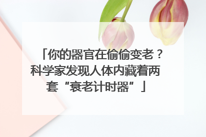 你的器官在偷偷变老？科学家发现人体内藏着两套“衰老计时器”