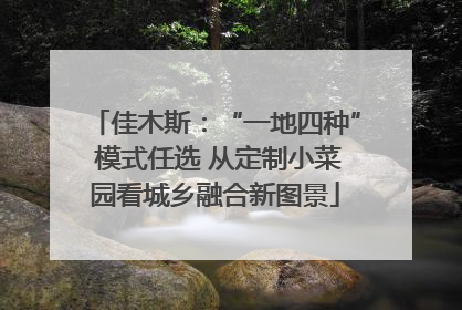 佳木斯：“一地四种” 模式任选 从定制小菜园看城乡融合新图景