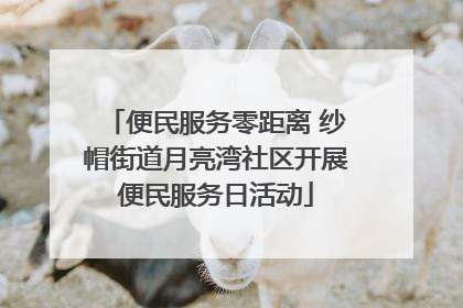 便民服务零距离 纱帽街道月亮湾社区开展便民服务日活动
