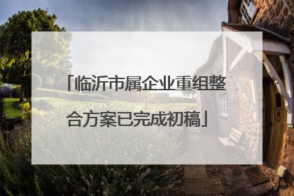 临沂市属企业重组整合方案已完成初稿