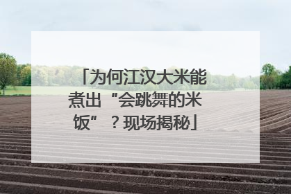 为何江汉大米能煮出“会跳舞的米饭”？现场揭秘
