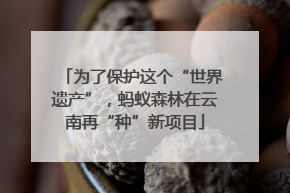 为了保护这个“世界遗产”，蚂蚁森林在云南再“种”新项目