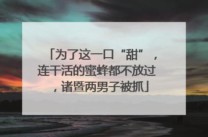 为了这一口“甜”，连干活的蜜蜂都不放过，诸暨两男子被抓