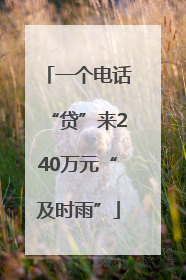 一个电话“贷”来240万元“及时雨”