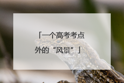 一个高考考点外的“风景”