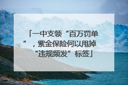 一中支领“百万罚单”，紫金保险何以甩掉“违规频发”标签
