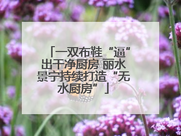一双布鞋“逼”出干净厨房 丽水景宁持续打造“无水厨房”