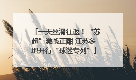 一天丝滑往返！“苏超”激战正酣 江苏多地开行“球迷专列”