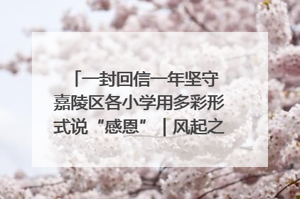 一封回信一年坚守 嘉陵区各小学用多彩形式说“感恩”｜风起之江 扶摇直上
