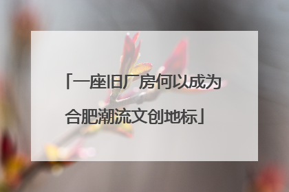 一座旧厂房何以成为合肥潮流文创地标