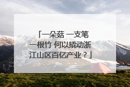 一朵菇 一支笔 一根竹 何以撬动浙江山区百亿产业？