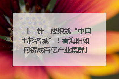 一针一线织就“中国毛衫名城”！看海阳如何铸成百亿产业集群