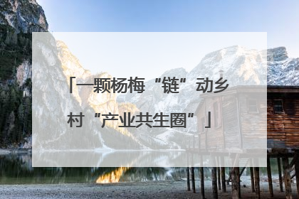 一颗杨梅“链”动乡村“产业共生圈”