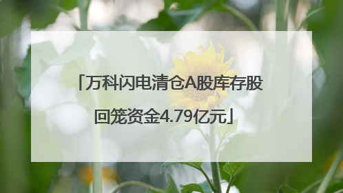 万科闪电清仓A股库存股 回笼资金4.79亿元