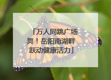 万人同跳广场舞！岳阳南湖畔跃动健康活力