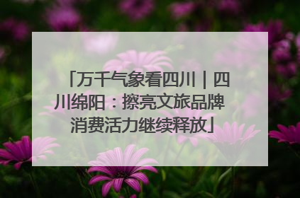 万千气象看四川｜四川绵阳：擦亮文旅品牌 消费活力继续释放